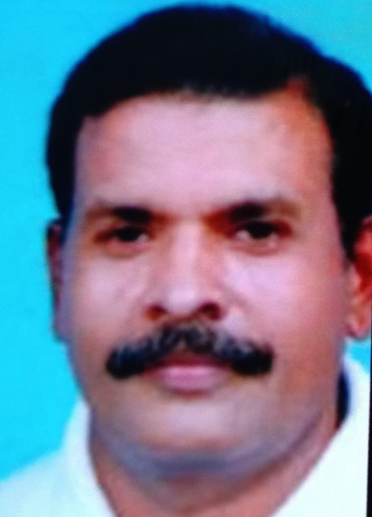 Committee Member P. V. John