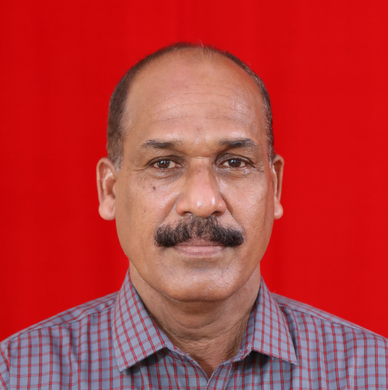 Committee Member Mathew V. V.
